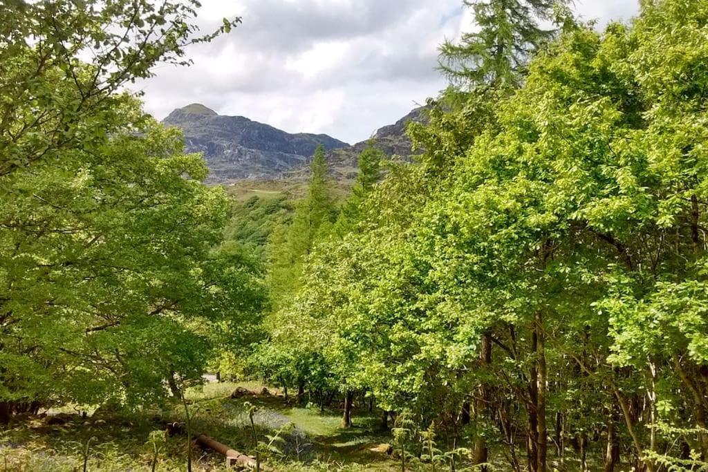 Mountain Walks Straight From The Doorstep Villa Blaenau Ffestiniog Kültér fotó